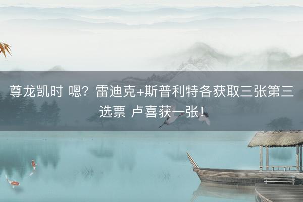 尊龙凯时 嗯?雷迪克+斯普利特各获取三张第三选票 卢喜获一张!