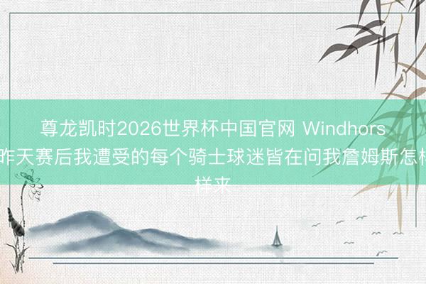 尊龙凯时2026世界杯中国官网 Windhorst：昨天赛后