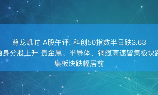 尊龙凯时 A股午评: 科创50指数半日跌3.63% 仅5独身分股上升 贵金属、半导体、铜缆高速皆集板块跌幅居前