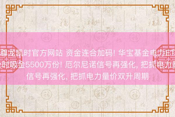 尊龙凯时官方网站 资金连合加码! 华宝基金电力ETF(159146)及时吸金5500万份! 厄尔尼诺信号再强化， 把抓电力量价双升周期