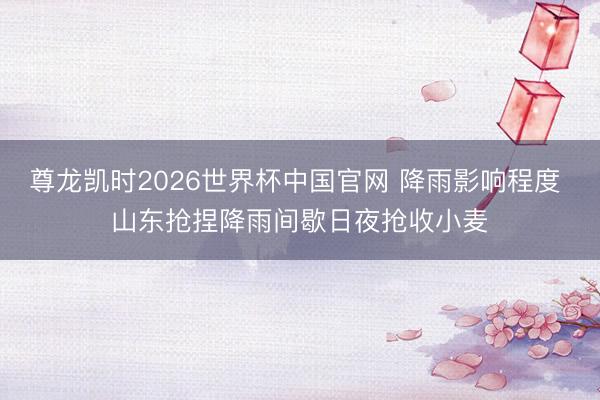 尊龙凯时2026世界杯中国官网 降雨影响程度 山东抢捏降雨间歇日夜抢收小麦