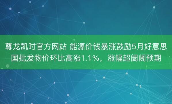 尊龙凯时官方网站 能源价钱暴涨鼓励5月好意思国批发物价环比高涨1.1%，涨幅超阛阓预期