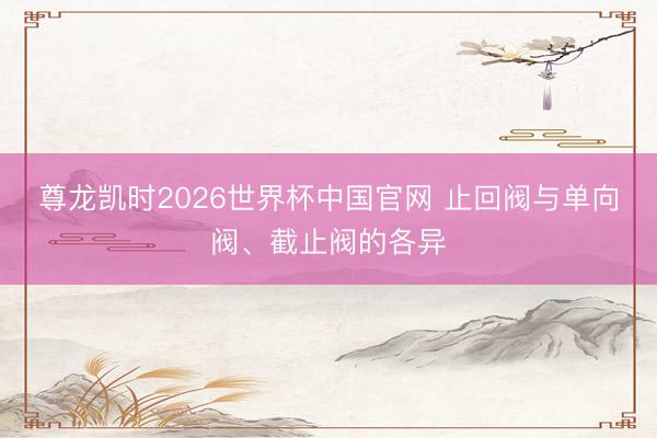 尊龙凯时2026世界杯中国官网 止回阀与单向阀、截止阀的各异
