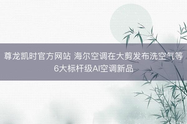 尊龙凯时官方网站 海尔空调在大剪发布洗空气等6大标杆级AI空调新品