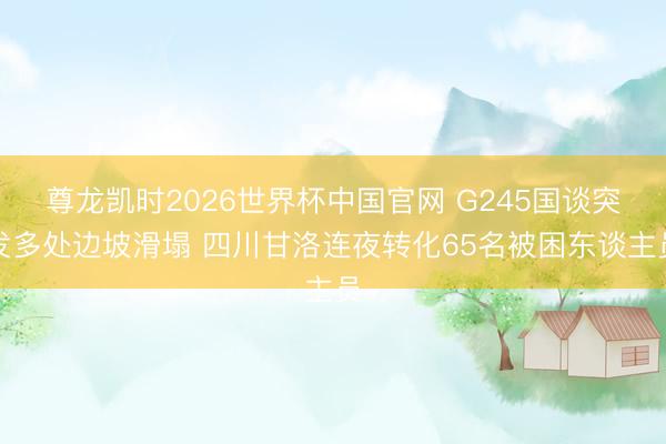 尊龙凯时2026世界杯中国官网 G245国谈突发多处边坡滑塌 四川甘洛连夜转化65名被困东谈主员