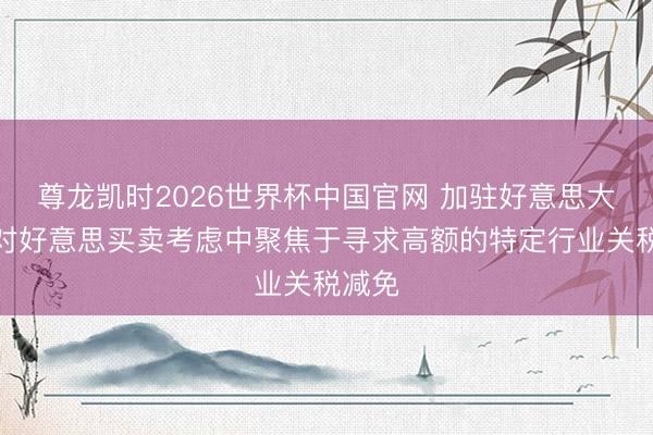 尊龙凯时2026世界杯中国官网 加驻好意思大使:对好意思买卖考虑中聚焦于寻求高额的特定行业关税减免