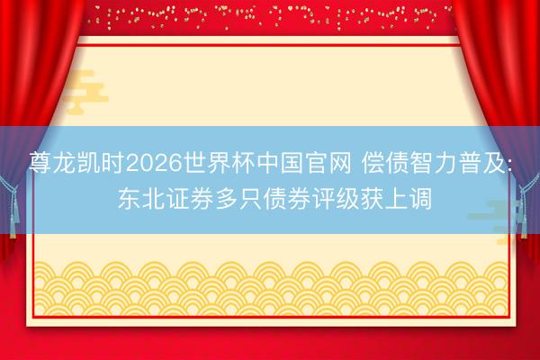 尊龙凯时2026世界杯中国官网 偿债智力普及: 东北证券多只债券评级获上调
