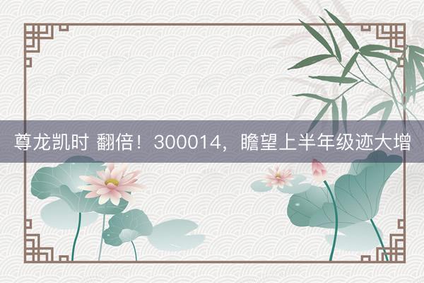 尊龙凯时 翻倍！300014，瞻望上半年级迹大增