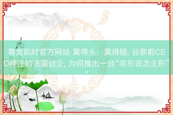 尊龙凯时官方网站 莫得头、莫得腿， 谷歌前CEO押注的法国创企， 为何推出一台“非东说念主形”