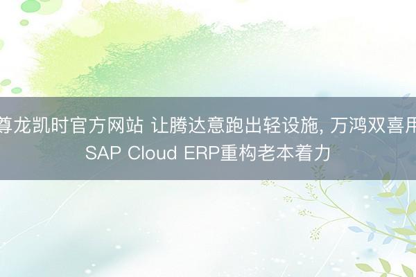 尊龙凯时官方网站 让腾达意跑出轻设施， 万鸿双喜用SAP Cloud ERP重构老本着力
